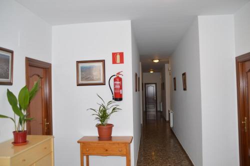 Twin Room with Terrace