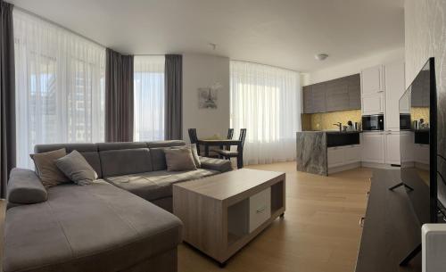 SAG Panorama City Apartment 3 rooms free parking Free wifi, Bratislava (fotografie 8)