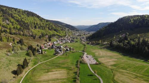 Accommodation in Menzenschwand-Hinterdorf