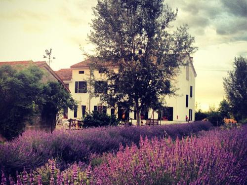 Exterior view of Agriturismo Viridarium