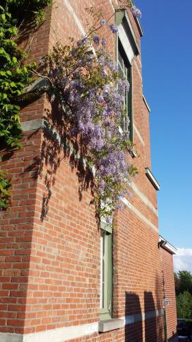 B&B Fine Fleur - image 14