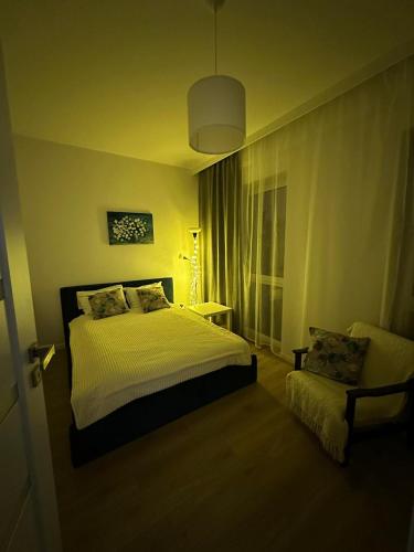 Apartament ANNA - Apartment - Biała Podlaska