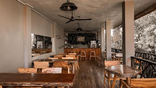 Bar/lounge, Resting Rabbit Siquijor in Siquijor Island