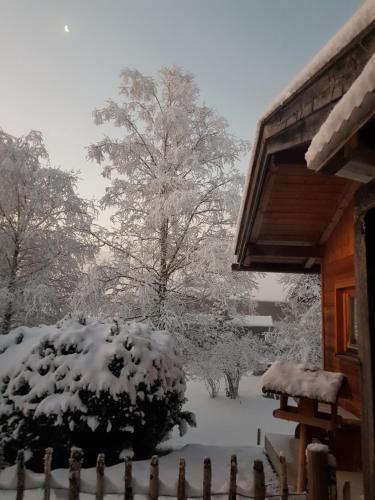 周邊環境, Apartement für Naturliebhaber (Apartement fur Naturliebhaber) in 菲施巴赫豪