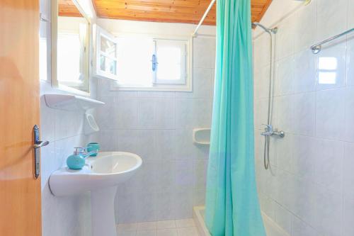 One-Bedroom Apartment image 6