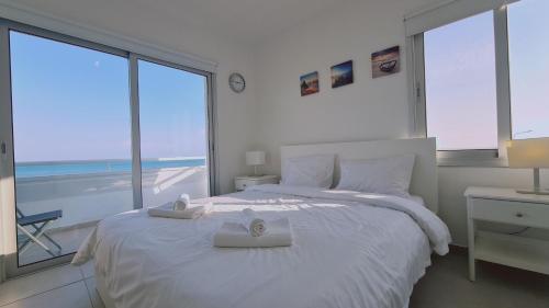 One-Bedroom Apartment image 10