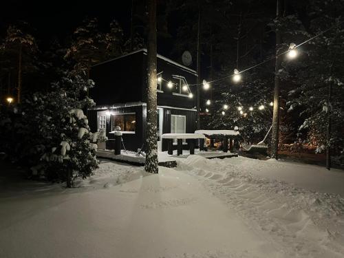 Reiu Holiday Home in Parnumaa