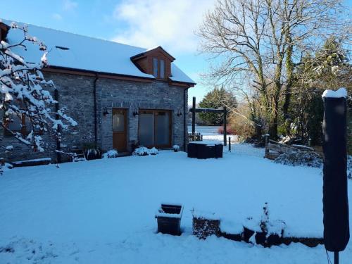 Rhedyn - Cosy Fishing Lodge Near Aberaeron