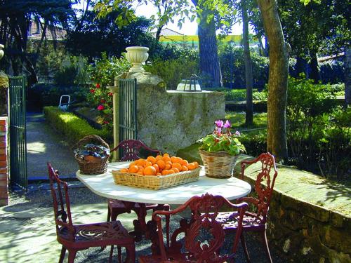 Case Zuccaro - image 6