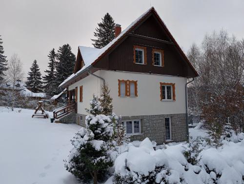 Villa Lupus - apartament z prywatną sauną, Szklarska Poręba (Foto 5)