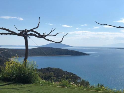 Avatonblue Villa Nafplio