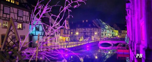 New ! VUE PETITE VENISE-PLACE TO BE OLD TOWN - PARKING - Location saisonnière - Colmar