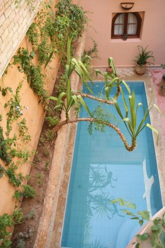 Riad Azenzer - image 4