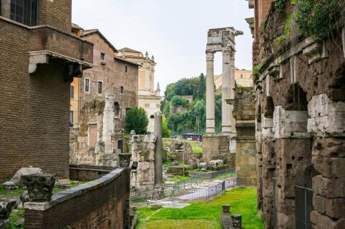 Over the Roman ruins, Rome (photo 9)
