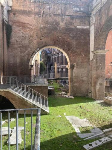 Over the Roman ruins, Rome (photo 10)