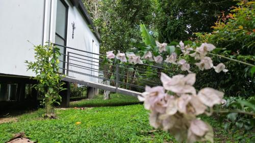 Guadalajara Glamping