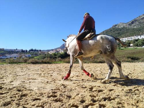 Apartamento Valle del Guadiaro