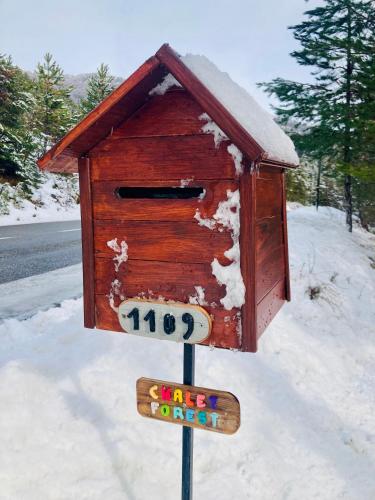 Chalet Forest - Location saisonnière - Saint-Apollinaire