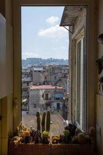 Cerasiello - image 14