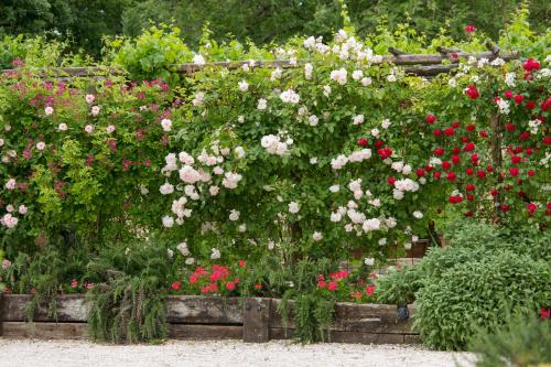 Ca'Bevilacqua Bed&Breakfast - image 3