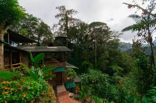 Bellavista Cloud Forest Lodge & Private Protected Area in Tandayapa