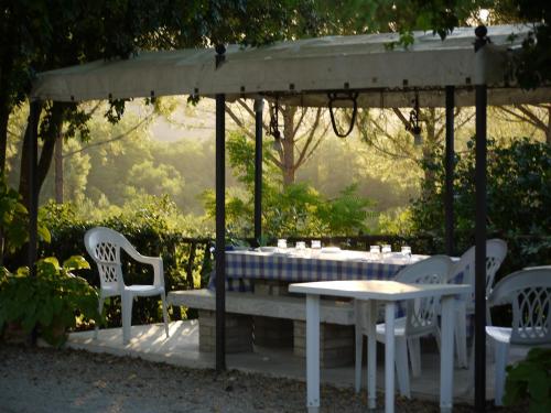 tuin, Azienda Agricola Polveraia in Montauto