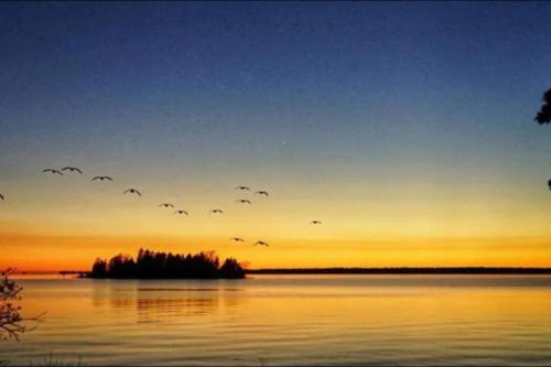 Waterfront Cottage in Lion's Head in Pike Bay (ON)