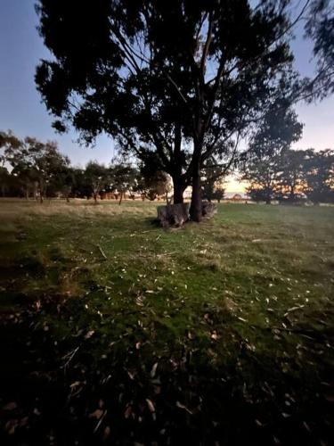 Grace in The Grampians