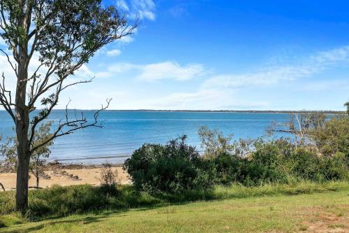 Cockatoos View