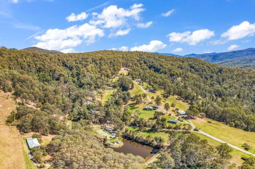 Blokhus, a stunning retreat in the treetops