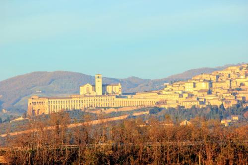 B&B Panorama d'Assisi - Accommodation - Santa Maria degli Angeli