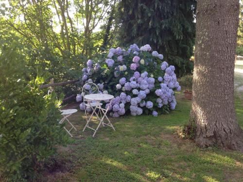 Agriturismo Renaccio - image 14