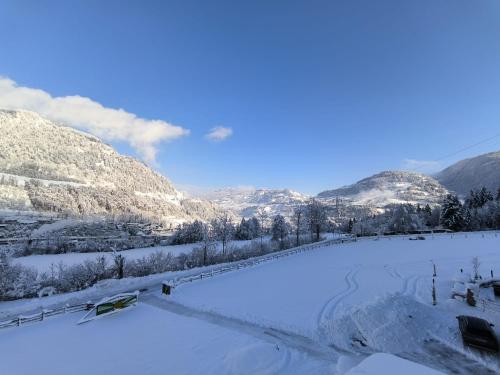 Skats, Bauernhof Sonnenhuab in St. Veit Im Pongau