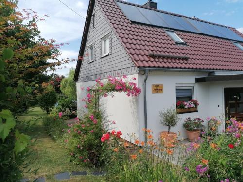 B&B Freiberg - Ferienwohnung Seilerberg - Bed and Breakfast Freiberg