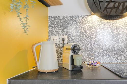 Facilities, LE LOUIS D’OR -Acces facile Gare/Eurexpo/Aeoroport near AviaSim Lyon