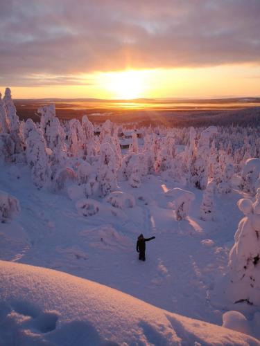 Lomanaamanka Naava-Cottage / Naava-hirsimökki