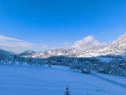 Skats, Bauernhof Sonnenhuab in St. Veit Im Pongau