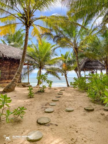 rand, The Alpha Monkey hotel & Tree house in Tangalle