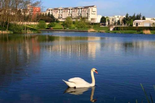 Très bel appartement entre Paris et Disneyland