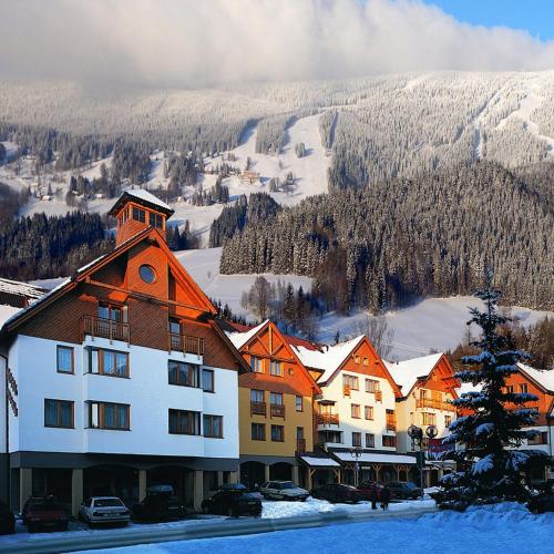 SKI - Apartment, Rokytnice nad Jizerou