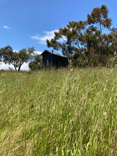 . Mount Schank Tiny House