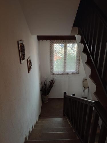 Ξενώνας Φωτεινη (Ξενωνας Φωτεινη) in ชาลคิดีคี