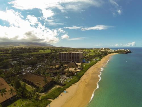 Kaanapali Ocean Inn - image 2