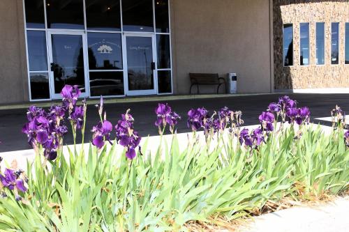 Greenwell Inn - image 8