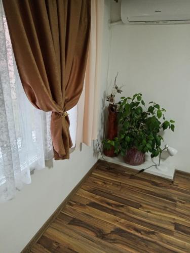 Tića3 (Tica3) in Laćarak