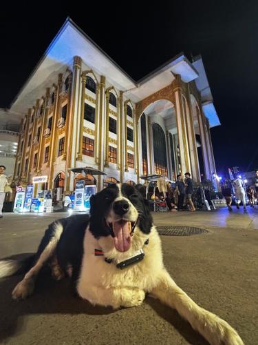 SYRI Boutique Guesthouse Restaurant & Cafe_2_image