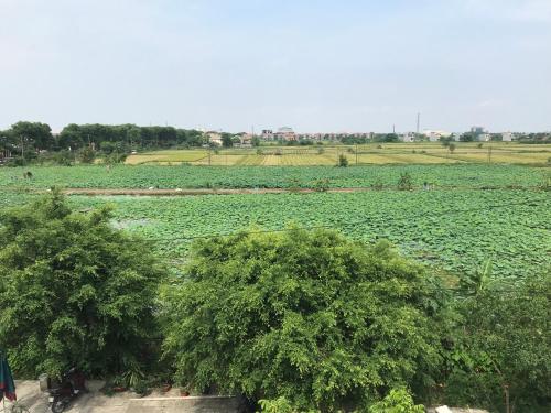 땀꼭 - 빅동 동굴의 아파트먼트 (100m², 침실 5개, 프라이빗 욕실 6개) - 주변 환경