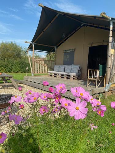 Tall Trees Glamping