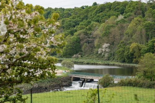 La petite maison in Quemper-Guezennec