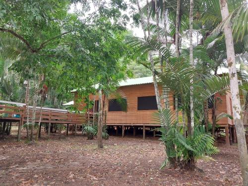 Amazon Seringal jungle Lodge